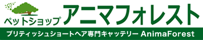 ペットショップ　アニマフォレスト